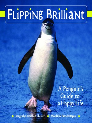 cover image of Flipping Brilliant